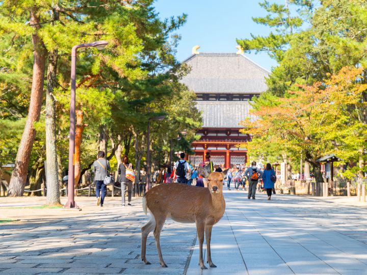 12位：奈良県