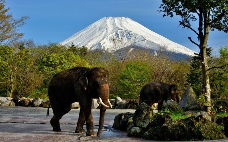 4位：静岡県