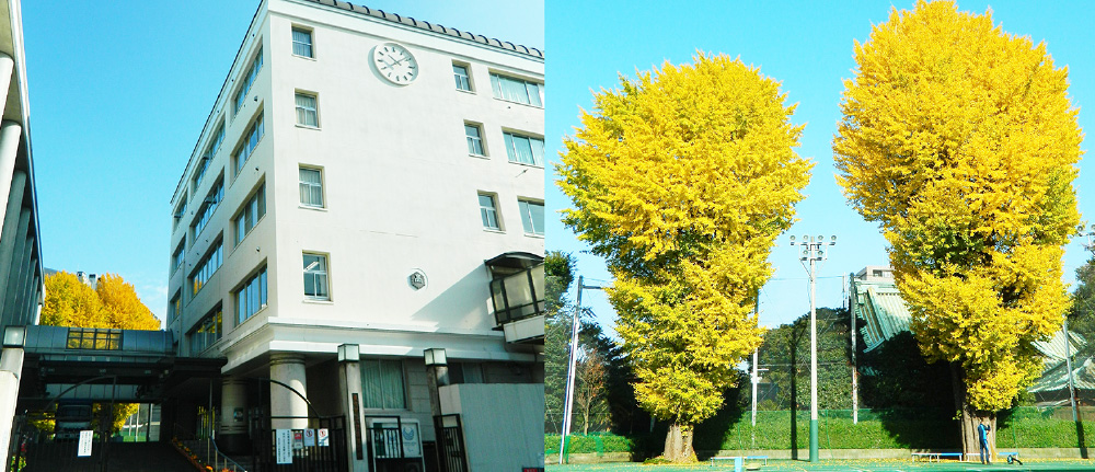 28位：都立上野高等学校　偏差値61