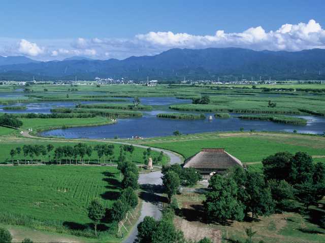 13位：新潟県