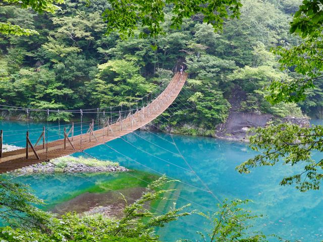 29位：夢のつり橋/静岡県