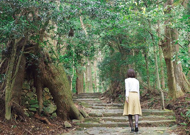 38位：熊野古道/和歌山県