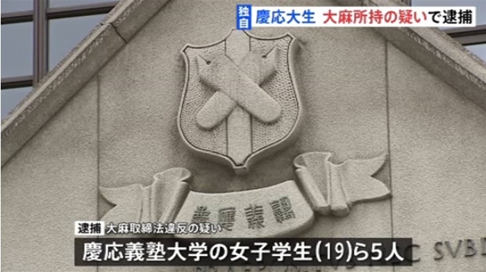 概要