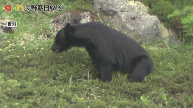 4位：長野県