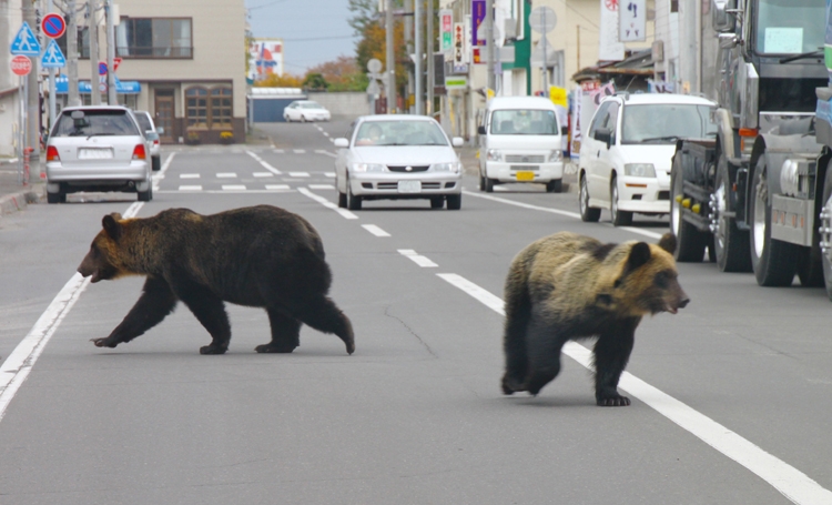 2位：北海道