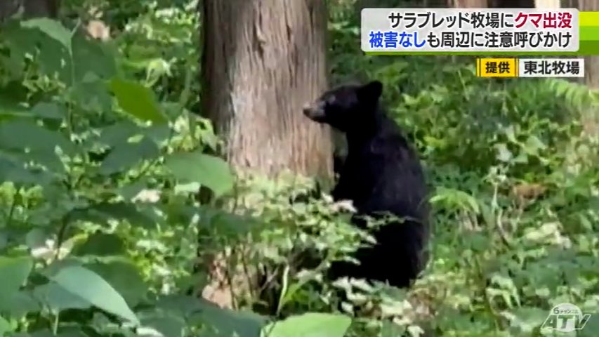 5位：青森県