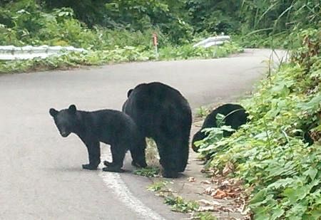 3位：秋田県