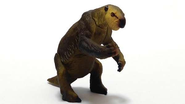 絶滅した大型の地上性ナマケモノの属