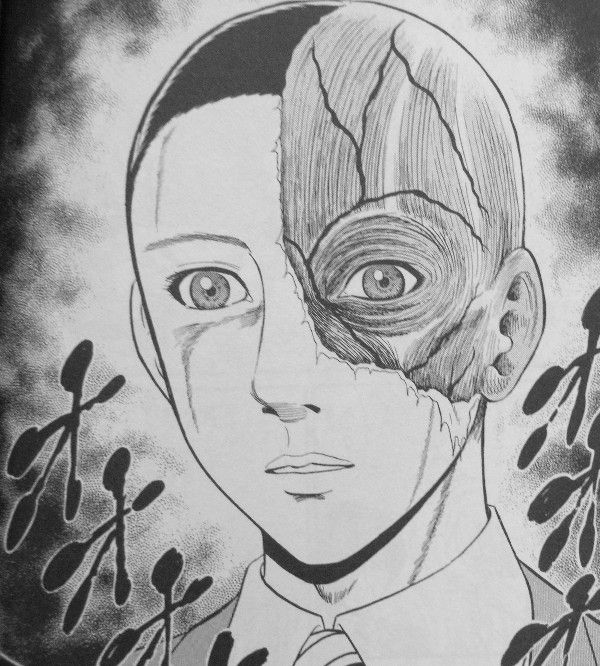 24位：人体模型