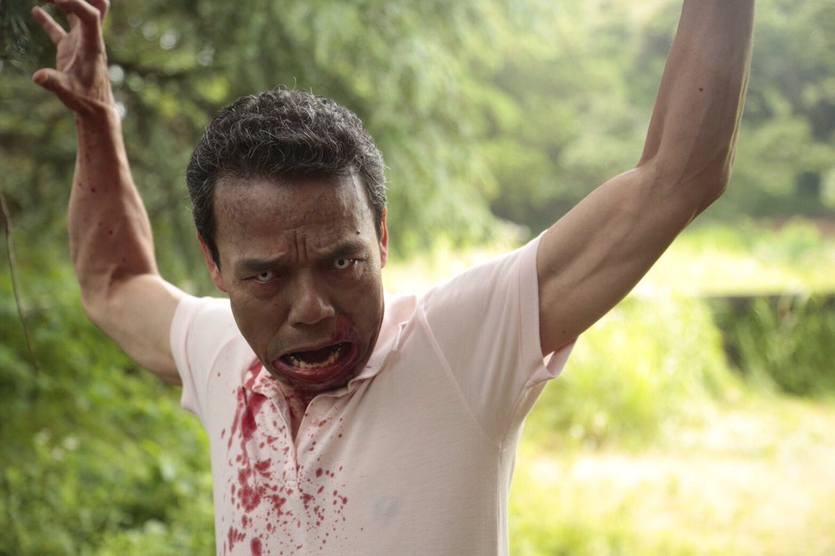 主にフリーランスとして映像作品を中心に活躍の場を広げる