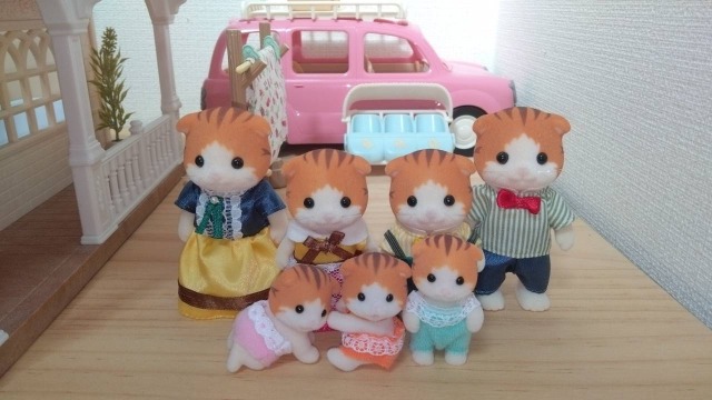 40位：メイプルネコファミリー