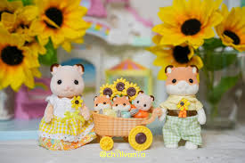 16位：ハムスターファミリー