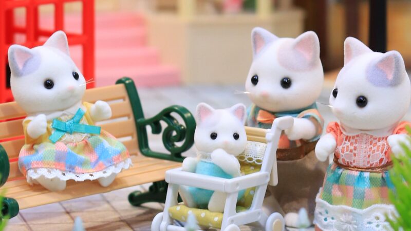 14位：ラテネコファミリー