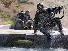 専門性が高く、組織化された軍隊