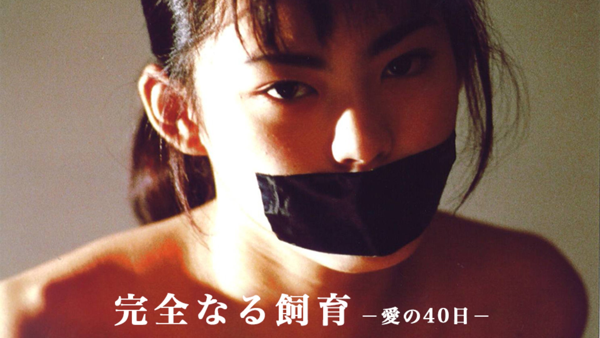 29位：深海理絵