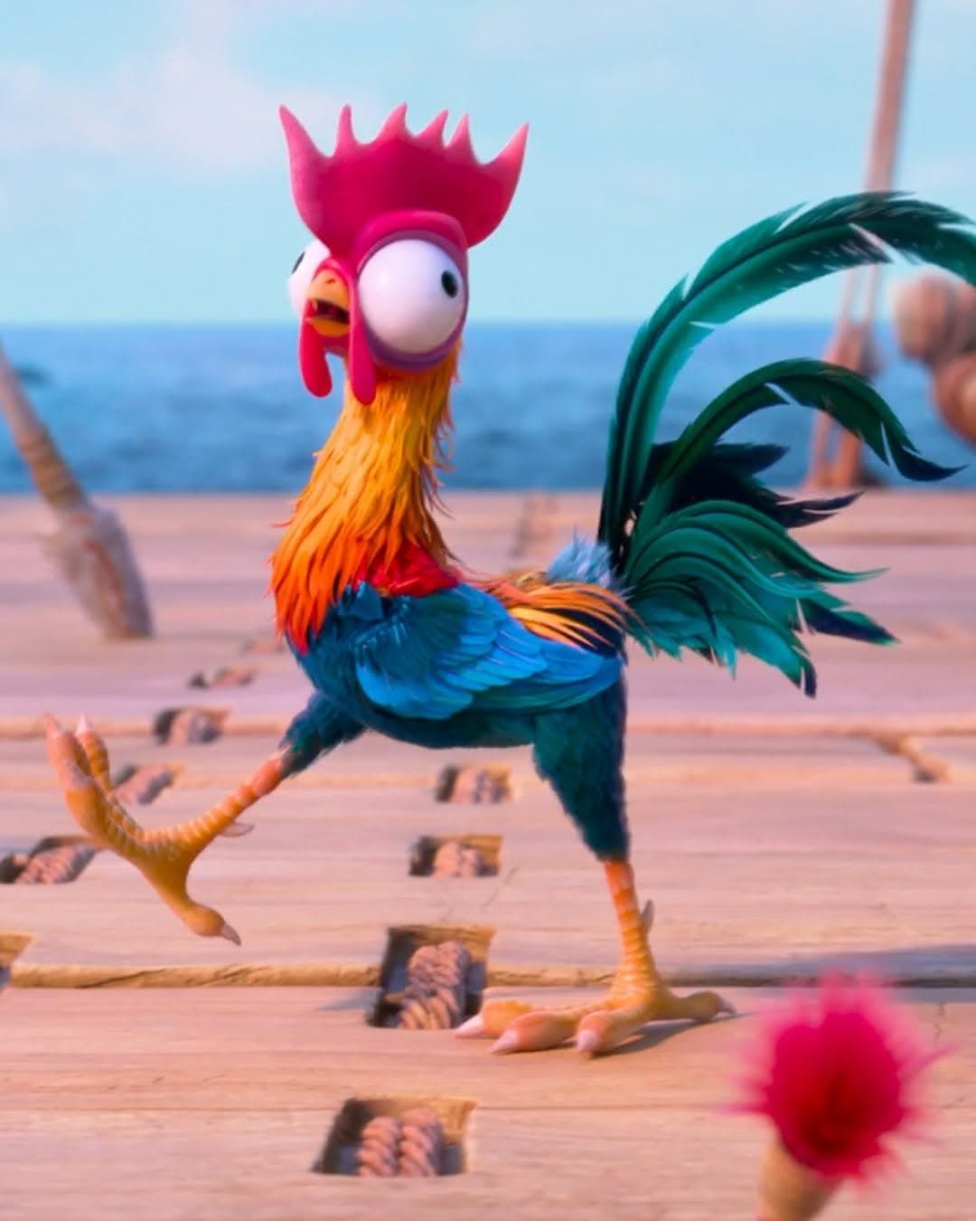 独特の鳴き声や表情豊かな顔芸がSNSやショート動画でも話題に
