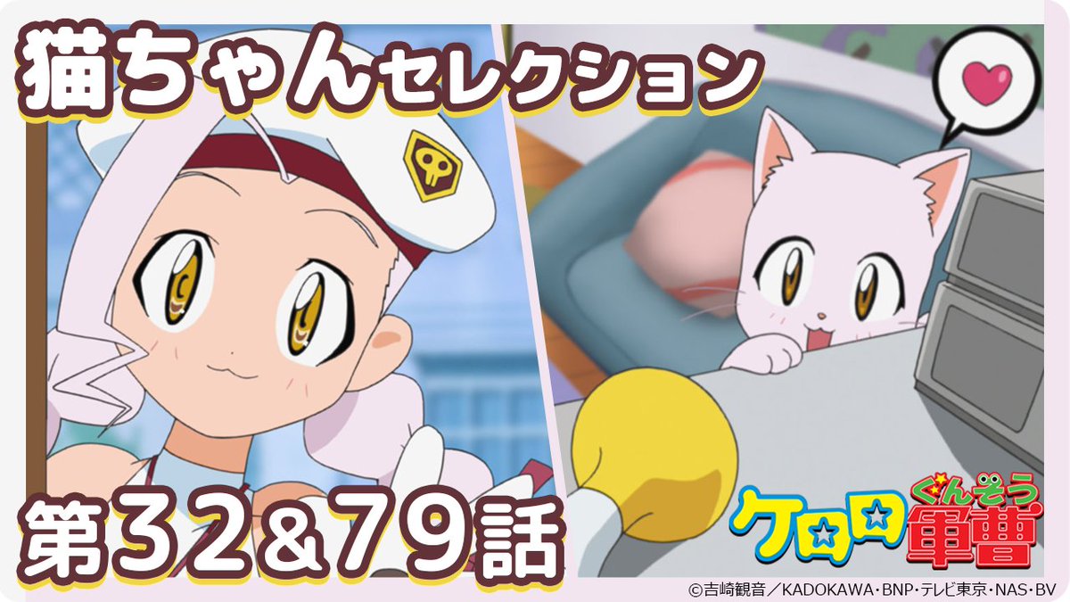 14位：子猫