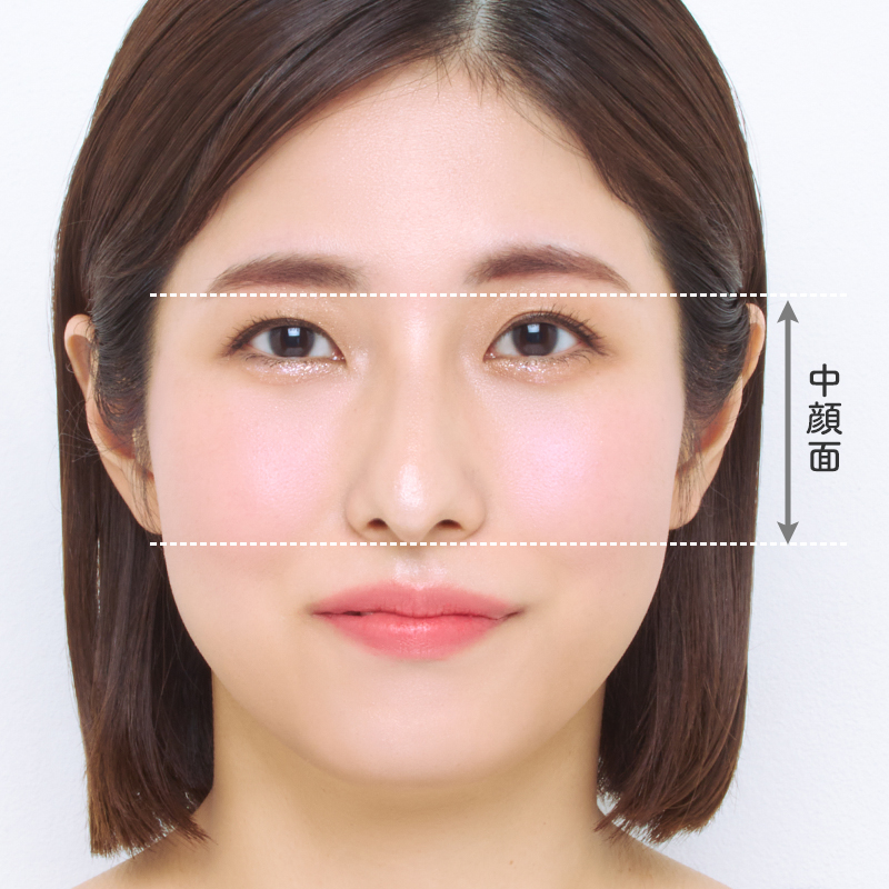 中顔面の定義と理想の比率